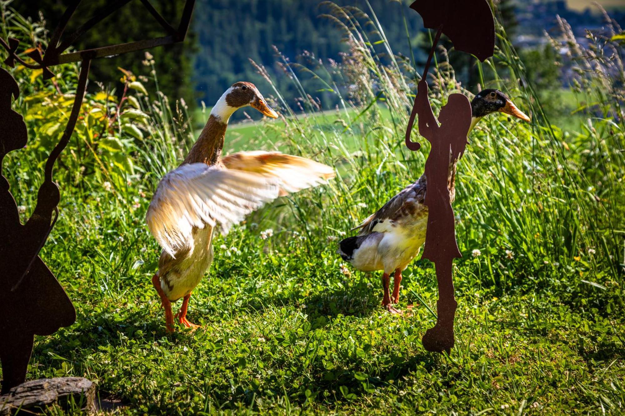 Gschwandtgut Urlaub Am Bauernhof Villa Schwemmberg Kültér fotó